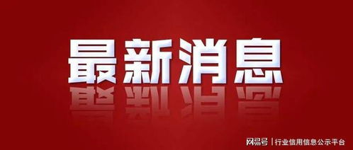 祝贺中宜国际信用服务机构在 信用中国 网站完成信息公示 公信力 社会信用体系 网易订阅